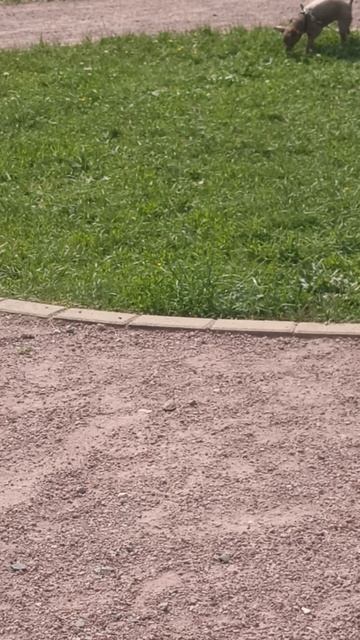 простите за долгое отсутствие смотреть онлайн