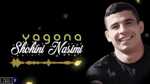 Shohini Nasimi - YAGONA ( У А БАЛКОМ МАН ТАГИ БОРОН) 2025