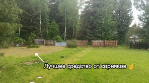 Лучшее средство от сорняков на даче. Проверил сам!