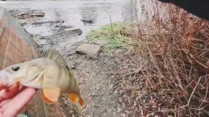 Рыбалка в ЦЕНТРЕ ЧЕЛЯБИНСКА ! СУРОВЫЕ ЧЕЛЯБИНСКИЕ  ЩУК