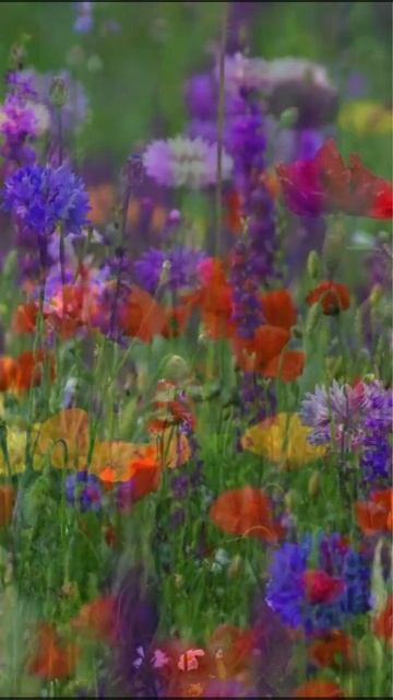 Доброе утро. смотреть онлайн