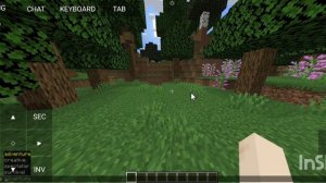 Как включить режим наблюдателя в Minecraft