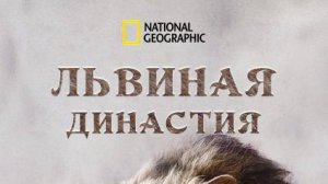 Львиная династия | Lion Dynasty | NAT Geo