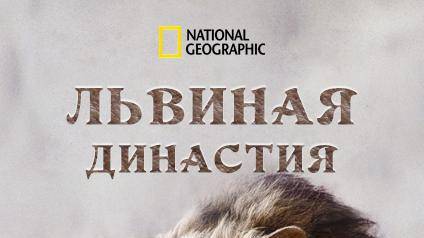 Львиная династия | Lion Dynasty | NAT Geo