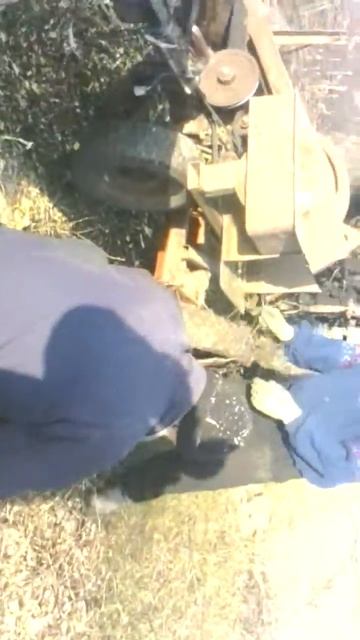 Измельчитель веток с загрузным шнеком. смотреть онлайн