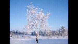 Сергей Есенин - Белая берёза  | Песня, сгенерированная ?