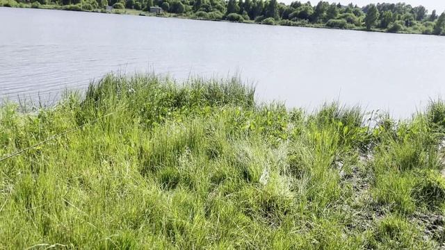 4 -5 июля 2022г смотреть онлайн