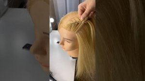 Классическая французская коса. Дракончики.