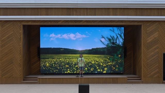 Школьные истории в летнем амфитеатре Центрального парка смотреть онлайн