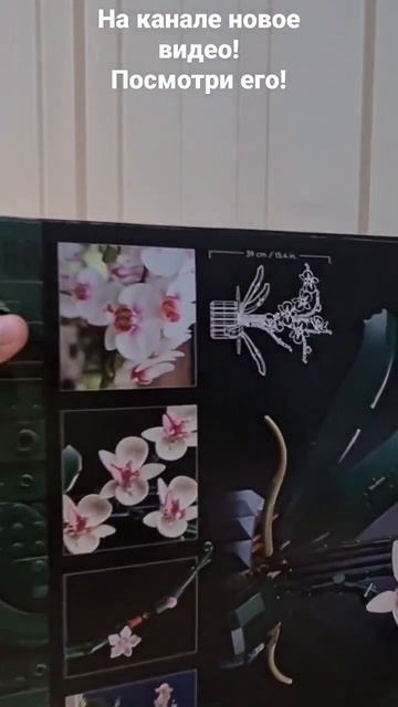 Обзор на лего орхидею #лего #lego #top #топчик смотреть онлайн