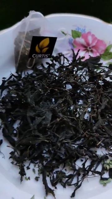 Landscape Lighting Installation Guides