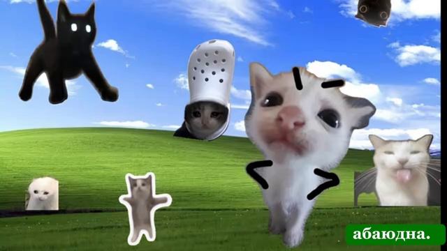 Плейлист ВЕСЁЛЫЕ КОТИКИ 😻Легкий и быстрый темп|Милый|Волшебный|«Кошки правят миром~~(=^..^)/ смотреть онлайн