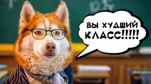 НАС ОСТАВИЛИ НА ВТОРОЙ ГОД!! ЕСЛИ БЫ ПЁСИКИ ХОДИЛИ В ШКОЛУ.. Хаски Бублик Говорящая собака