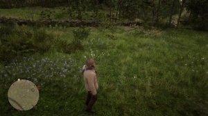 Red Dead Redemption 2 как добыть револьвер мики бела