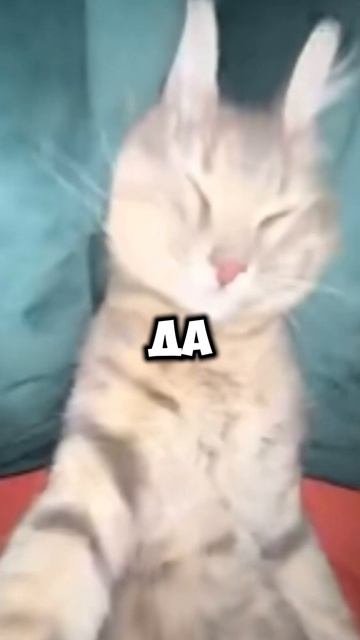 ЛУЧШИЙ БОТ ДЛЯ ЗАРАБОТКА ДЕНЕГ!#ботдлязаработка#прост смотреть онлайн