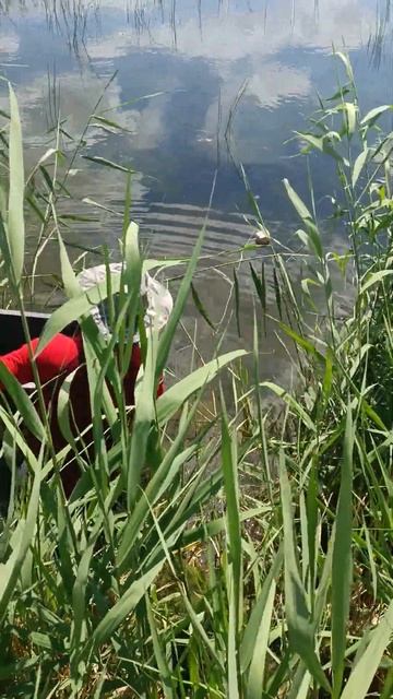 2 августа 2024 г. смотреть онлайн