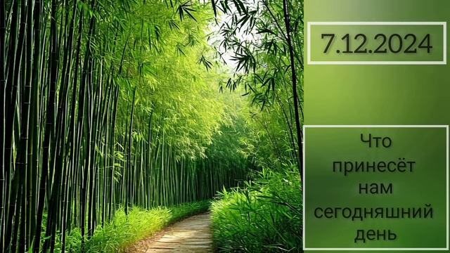 7.12.2024 || Что принесёт нам сегодняшний день || Фен Шуй смотреть онлайн