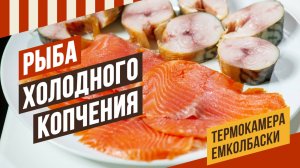 Холодное копчение скумбрии и красной рыбы. Секреты технологии посола, безопасное копчение.