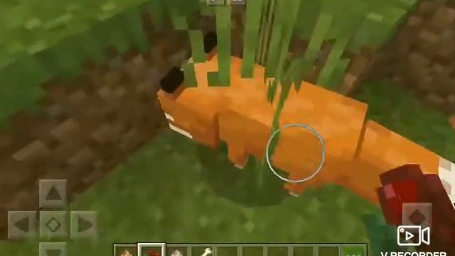 Как приручить лису и собаку в Майнкрафте