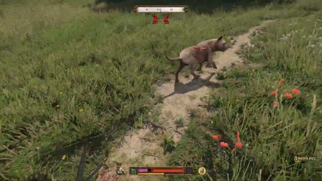 Как привести Игнаца, квест Барбос в Kingdom Come Deliverance II смотреть онлайн