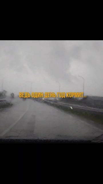 Урожай без пахоты #кроптейнер #робот #дача #ситиферма #? смотреть онлайн