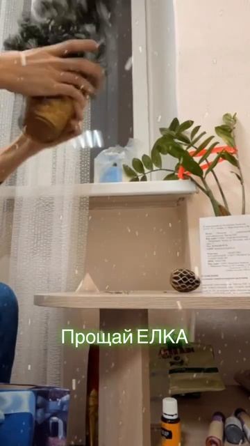 Прощай Елка. #gsr #ёлка #2024 смотреть онлайн