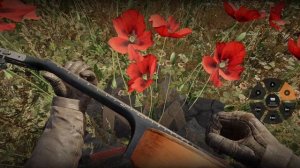 Кино – «Группа крови» на гитаре в S.T.A.L.K.E.R. 2.