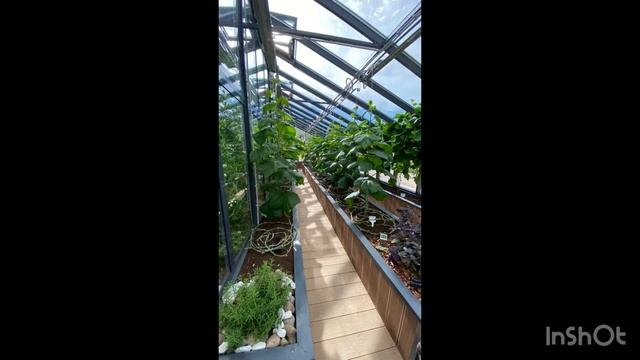 Теплицы из стекла в Санкт-Петербурге, Москве от Шпаков смотреть онлайн