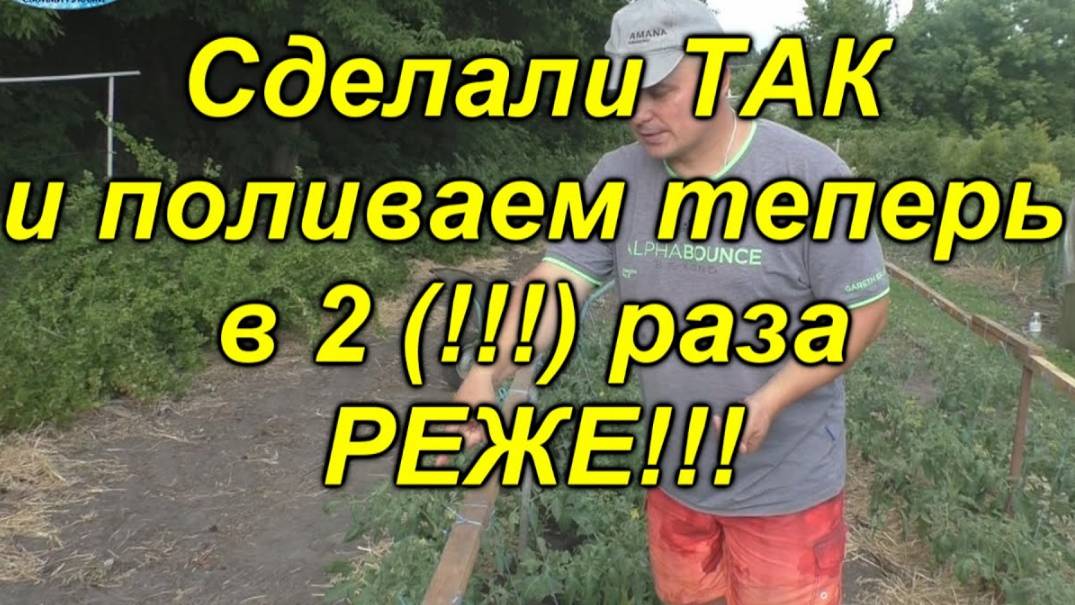 Теперь мы поливаем свои томаты в 2(два!) раза реже!