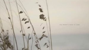 Taylor Swift- august перевод