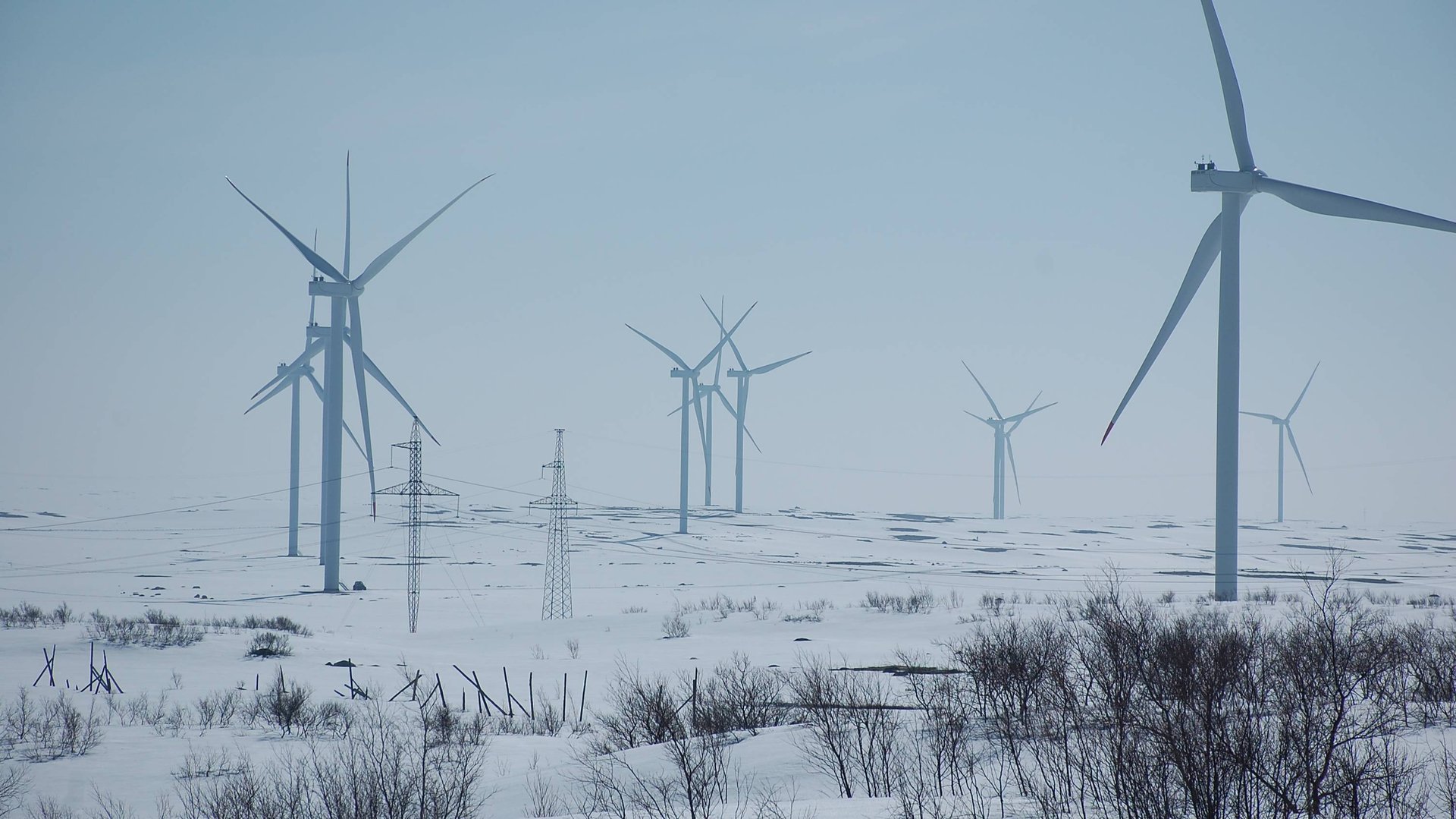 Териберка в мае 2025 смотреть онлайн