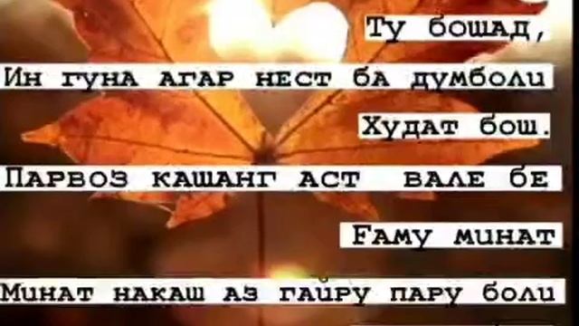 Думболи касе бош ки думболи ту бошад👆👆👆