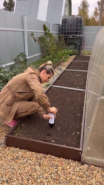 Лайфхак для посадки чеснока🧄🔥#лайфхак #чеснок#дача # смотреть онлайн