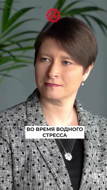 🌽Борьба с засухой- 3 #засуха #кукуруза #селекция #limagrain смотреть онлайн