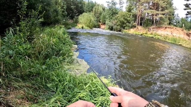 Дикий елец. Ловля мирной рыбы. Мормышинг. Наноджиг