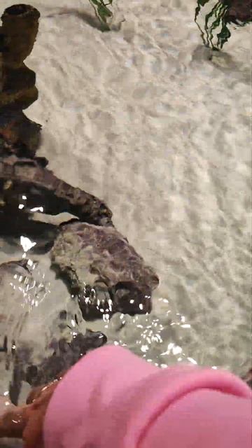 рыбы к которым можно дотронуться смотреть онлайн