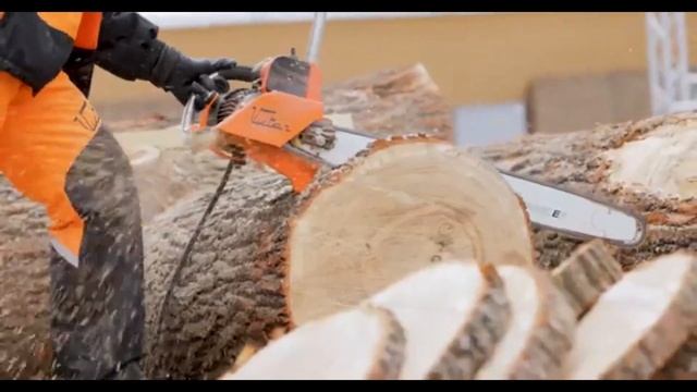 Лучшая пила для дров ✅ смотреть онлайн