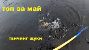 Топ воблеров за май