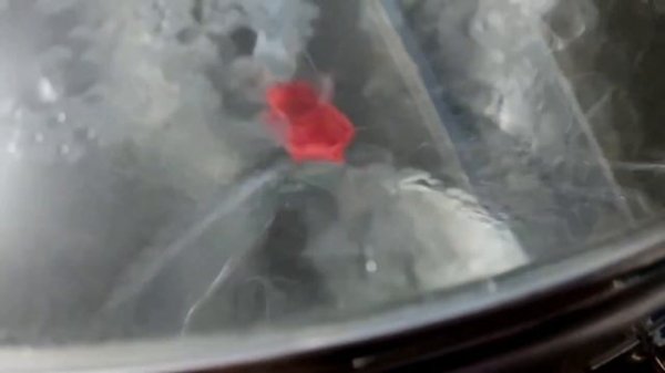 Автоматическая пивоварня BREWZILLA 65 vs Easy Brew 70-Личное мнен?