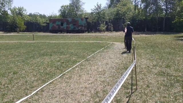 МОЛОДЫЕ СУКИ ДШ / КЧК АНГАРСК 25 мая`25 Ю.Скиба Моно немецких овчарок