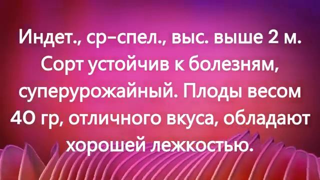 Эти томаты отлично подходят для консервирования.  г.  К