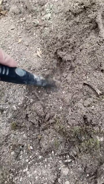 УЗРИ ЧТО Я СМОГ НАЙТИ В КОРНЕ ДРЕВНЕГО ДЕРЕВА !!! #поиск? смотреть онлайн