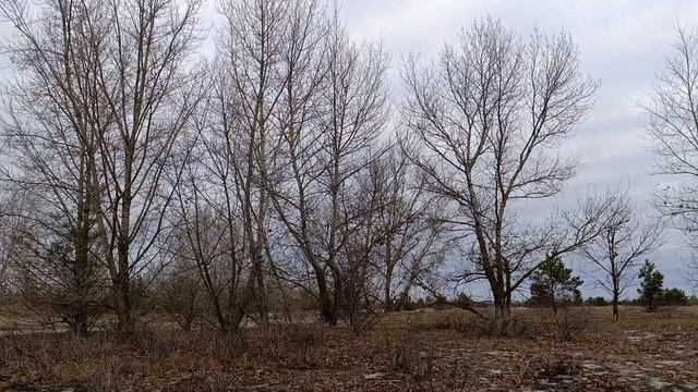 7 февраля праздник День Григория Богослова .Что делать смотреть онлайн