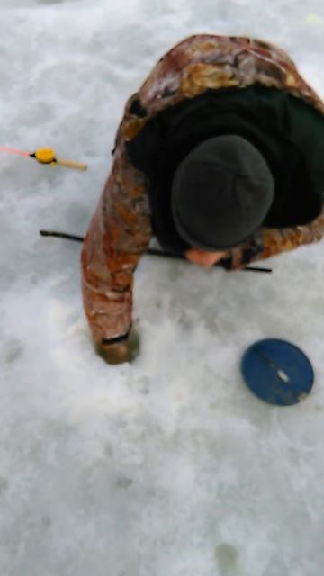 платная рыбалка в Запрудном смотреть онлайн