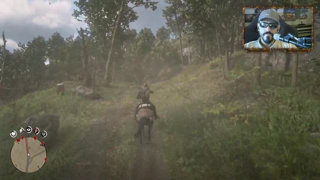 Кражи, Грабежи и Перестрелки в прохождении RDR 2 - 28