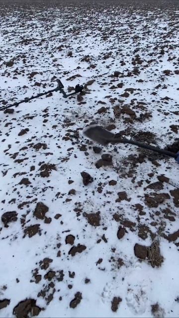 #монеты #metaldetecting #хабар #metaldetector #treasure #металлоискатель смотреть онлайн