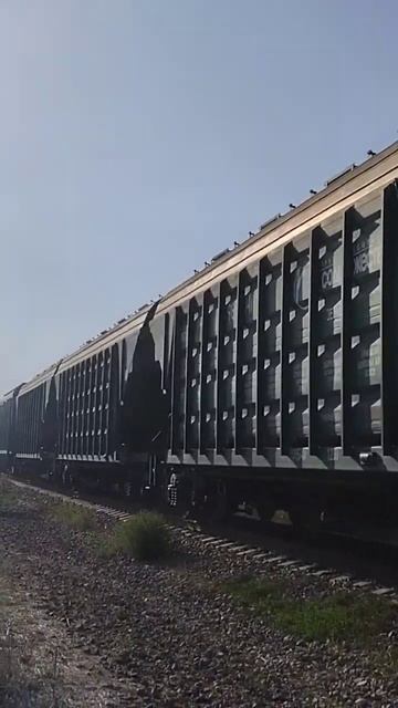 Впервые ! Гуднул ! 2тэ116у-0259 / чмэ3-2696 с грузовым поездом ? смотреть онлайн