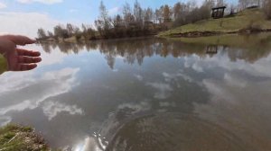 18 щучек и знакомство с Tenryu Rayz RZ6102S-LML