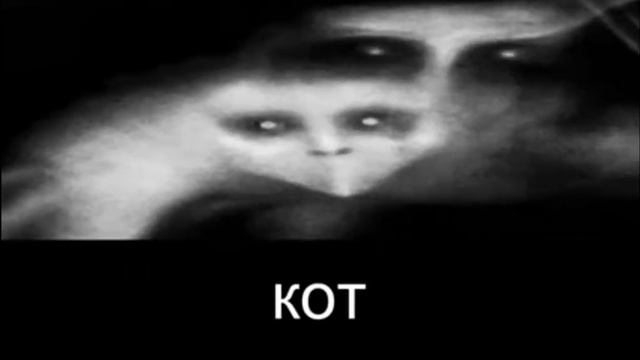 в точь точь похож на Вилли 🤣😅🤣😅🤣😅 (видео не моё) смотреть онлайн