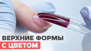 Верхние формы с гель лаком | Экономим время на наращивание